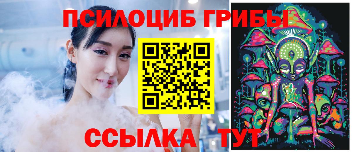 Псилоцибиновые грибы Psilocybine cubensis Ипатово